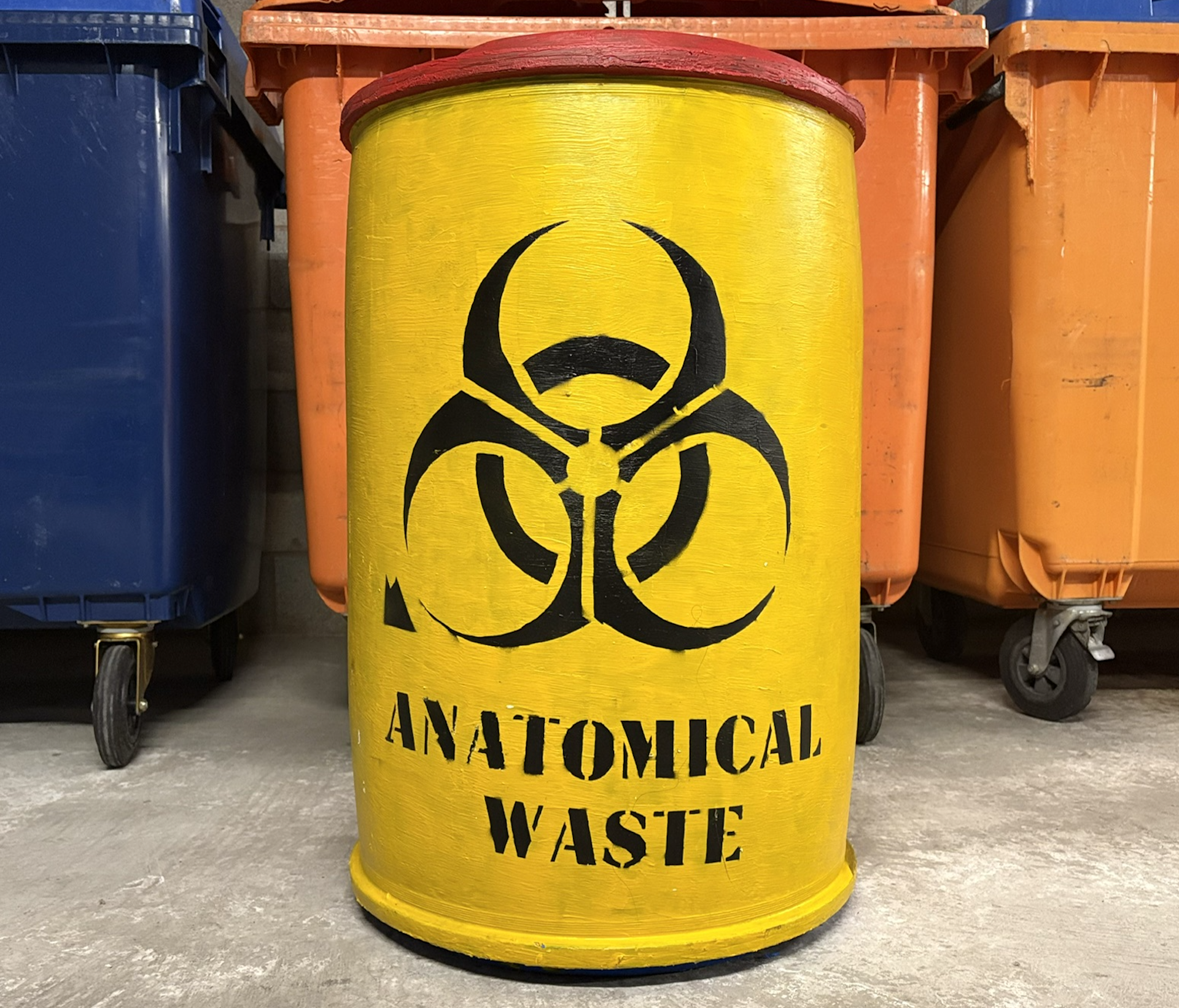 Yellow drum for anatomical waste