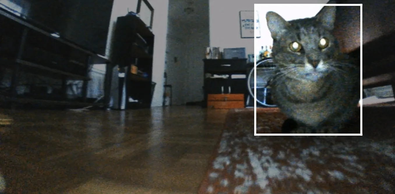 Your robotic vacuum is a witness: What home robots mean for evidence, privacy and the law