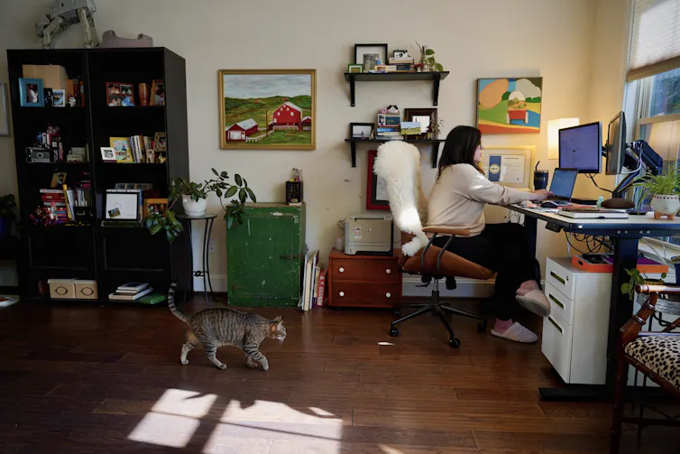 A woman works from home while her cat saunters toward her.