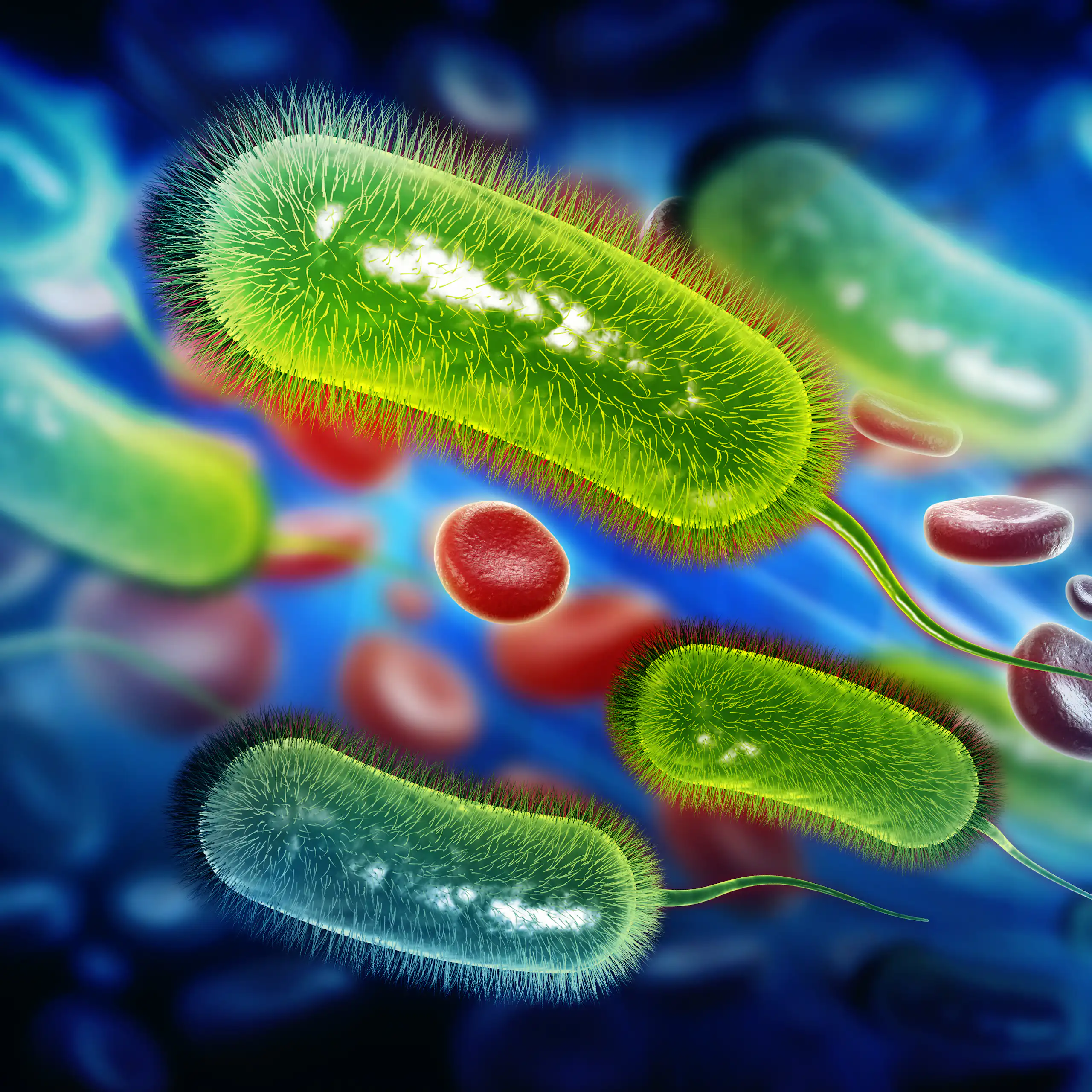 Bakteri _H. pylori_ kemungkinan berkaitan dengan kanker usus besar.