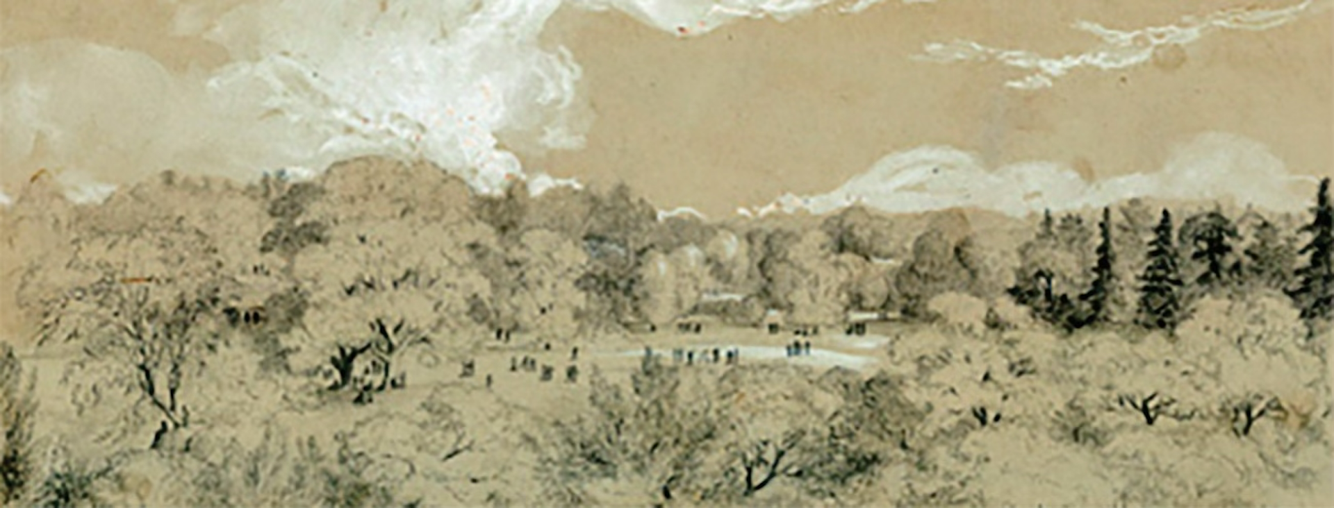 Ilustração mostra um parque cheio de árvores