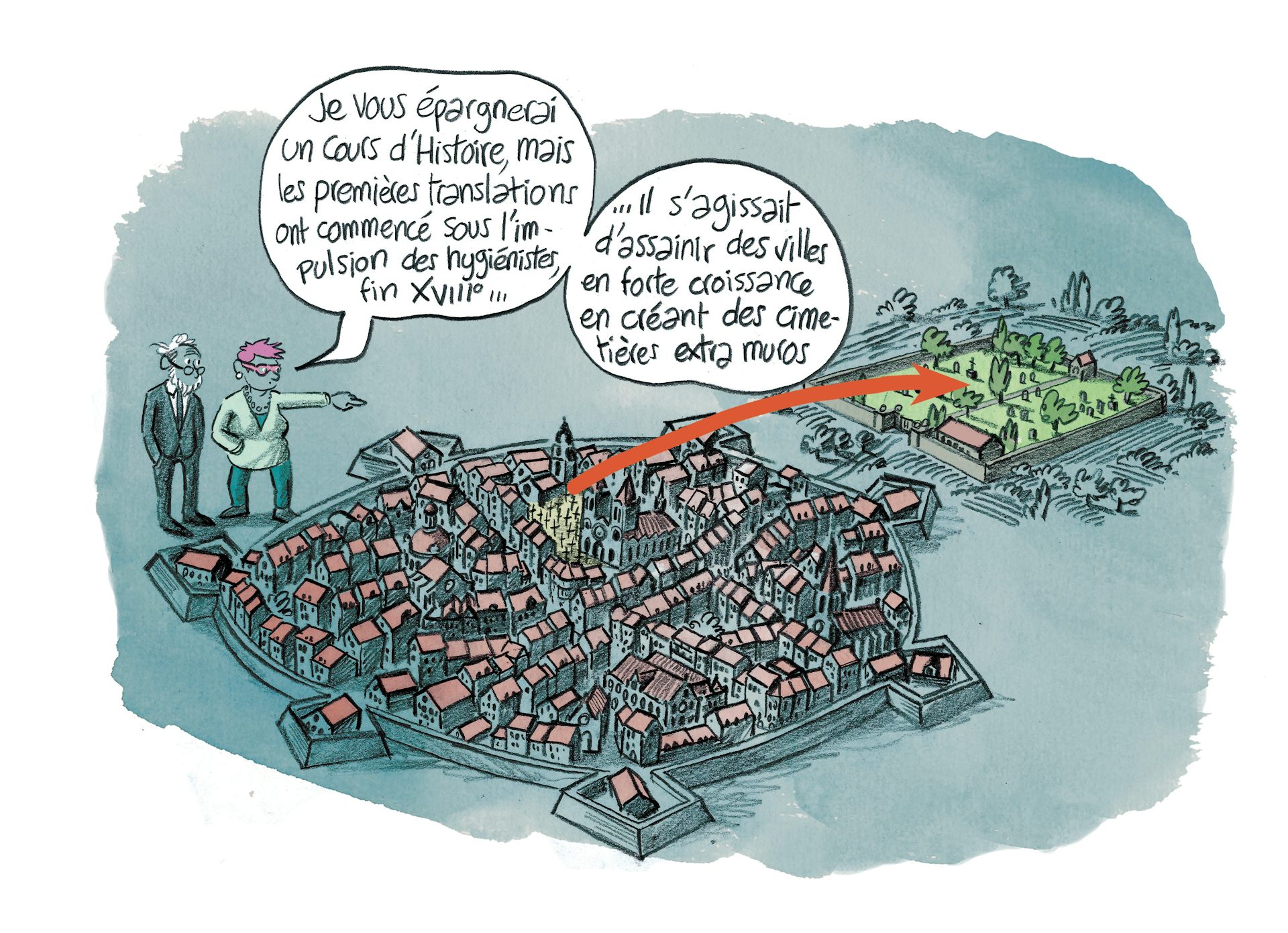 Planche 5 : à décrire