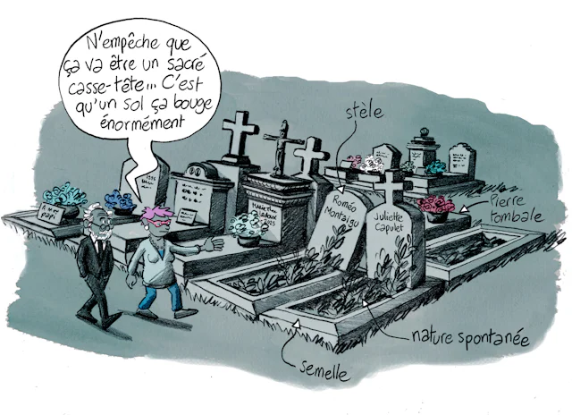 Planche 9 : à décrire