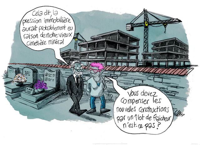 Planche 11 : à décrire