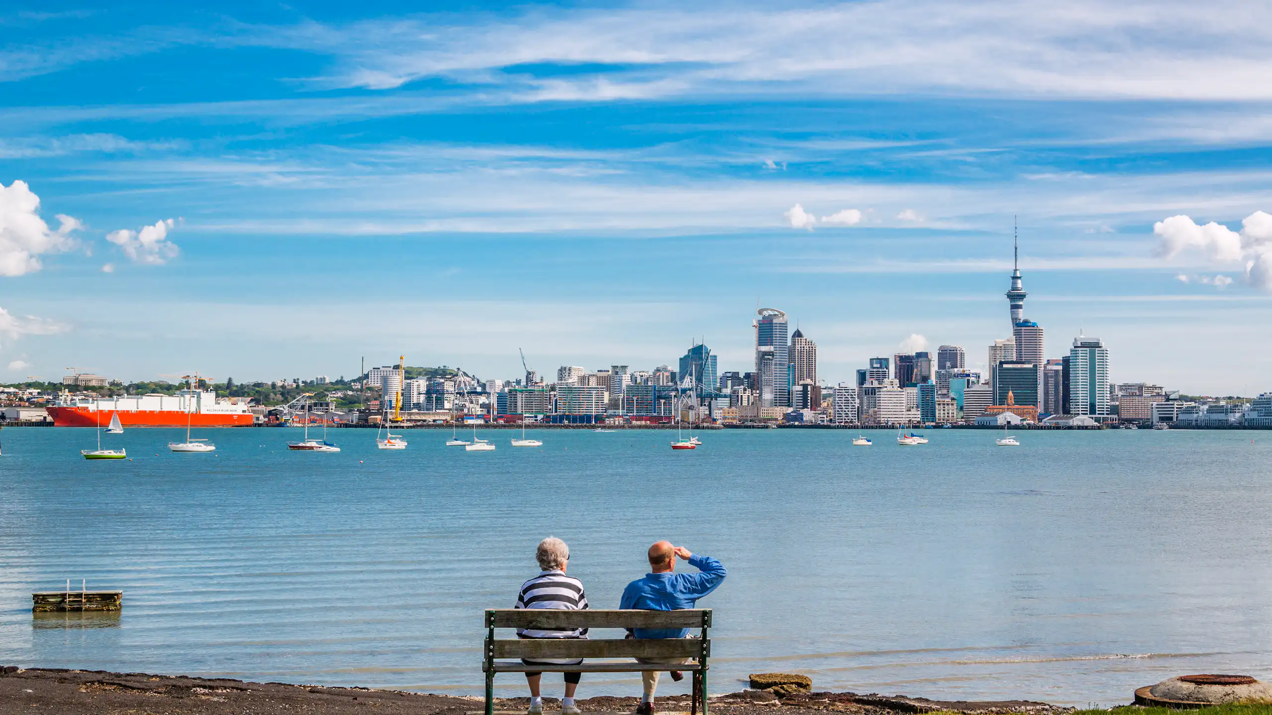 Couple on park bench looking across water at Auckland CBD on clear day