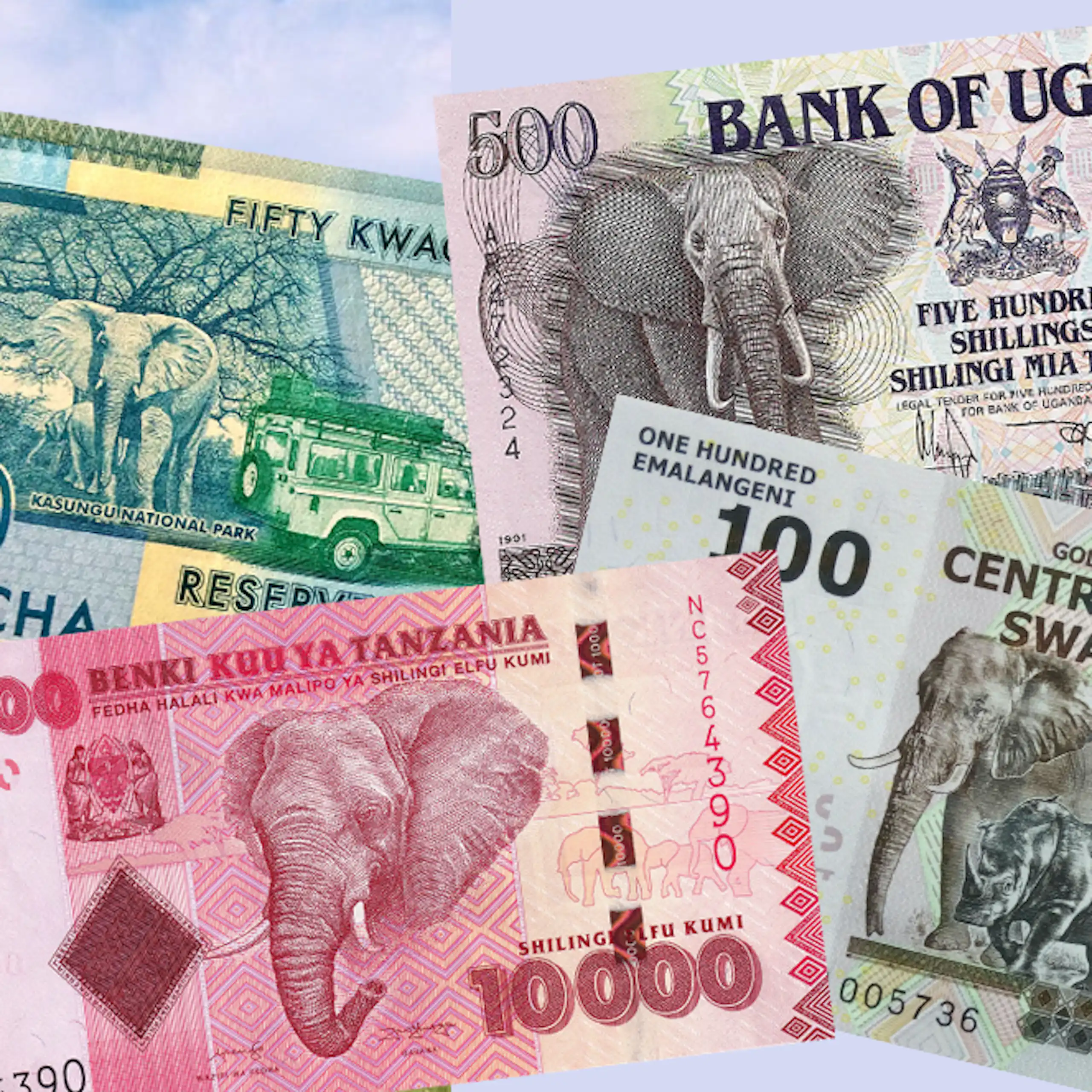 Éléphant d’Afrique et exemples de billets de banque de pays africains.