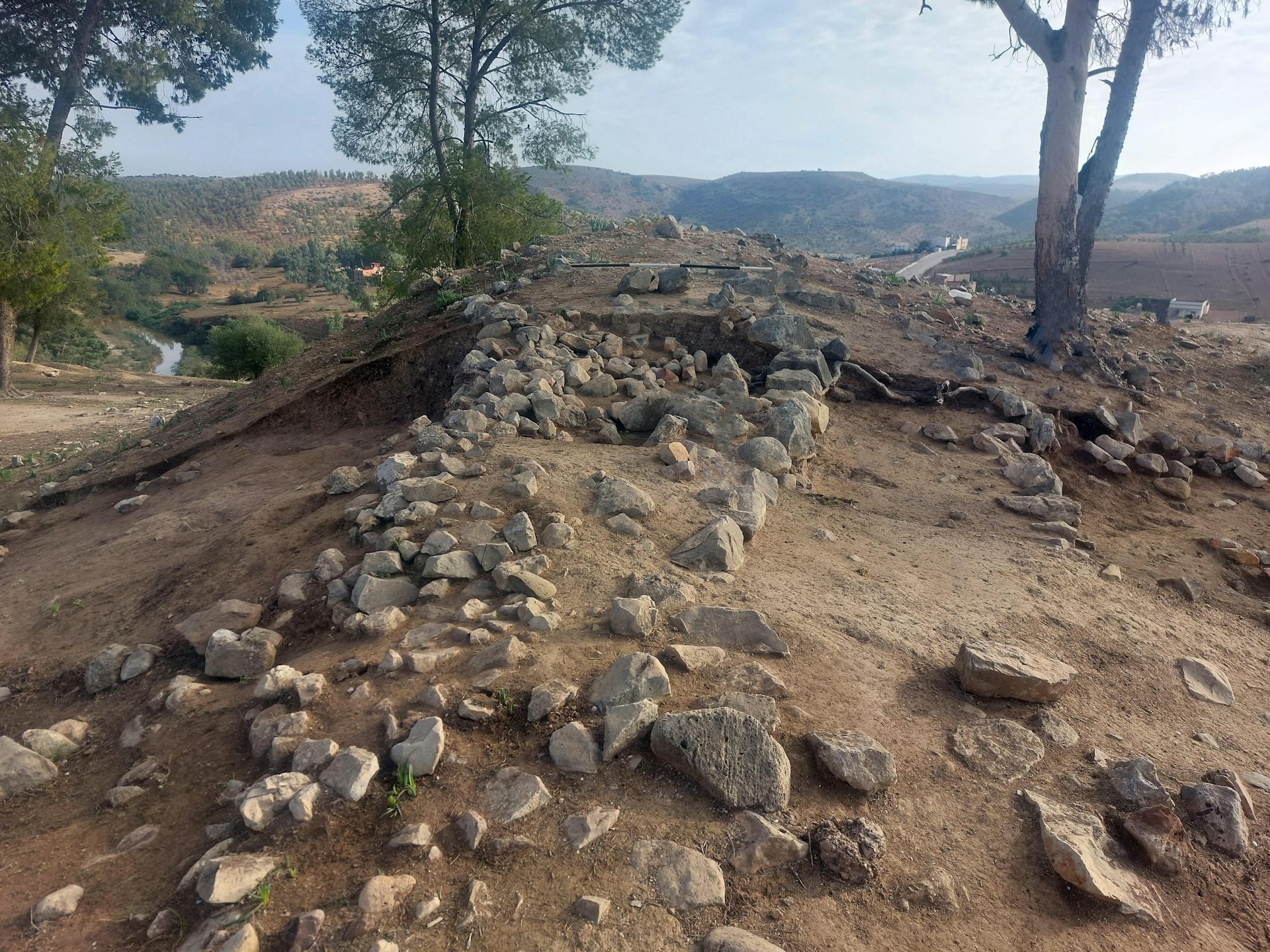 Vue d’un site de fouilles où des alignements de pierres affleurent le long d’une légère crête, avec des arbres à l’arrière-plan.