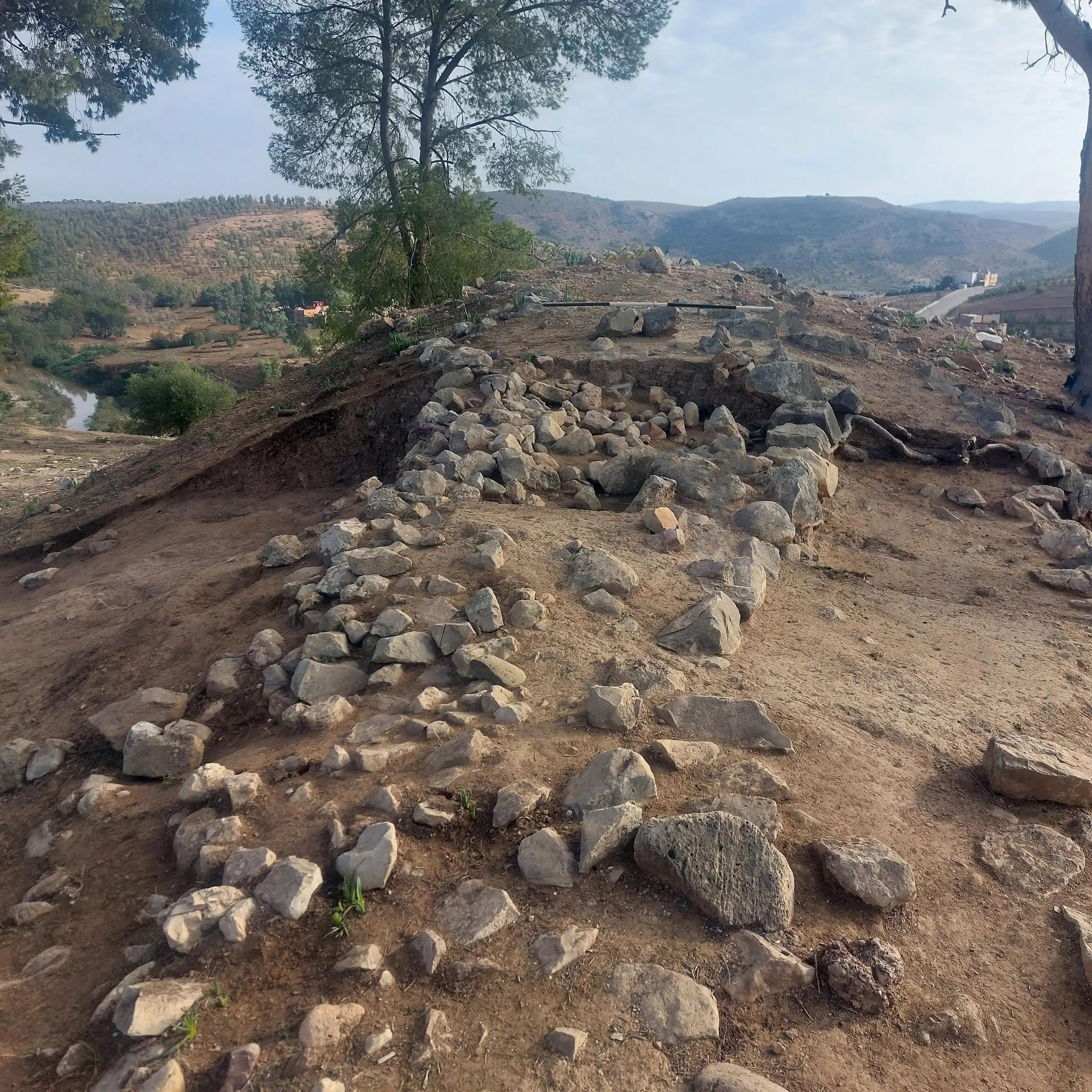 Vue d’un site de fouilles où des alignements de pierres affleurent le long d’une légère crête, avec des arbres à l’arrière-plan.