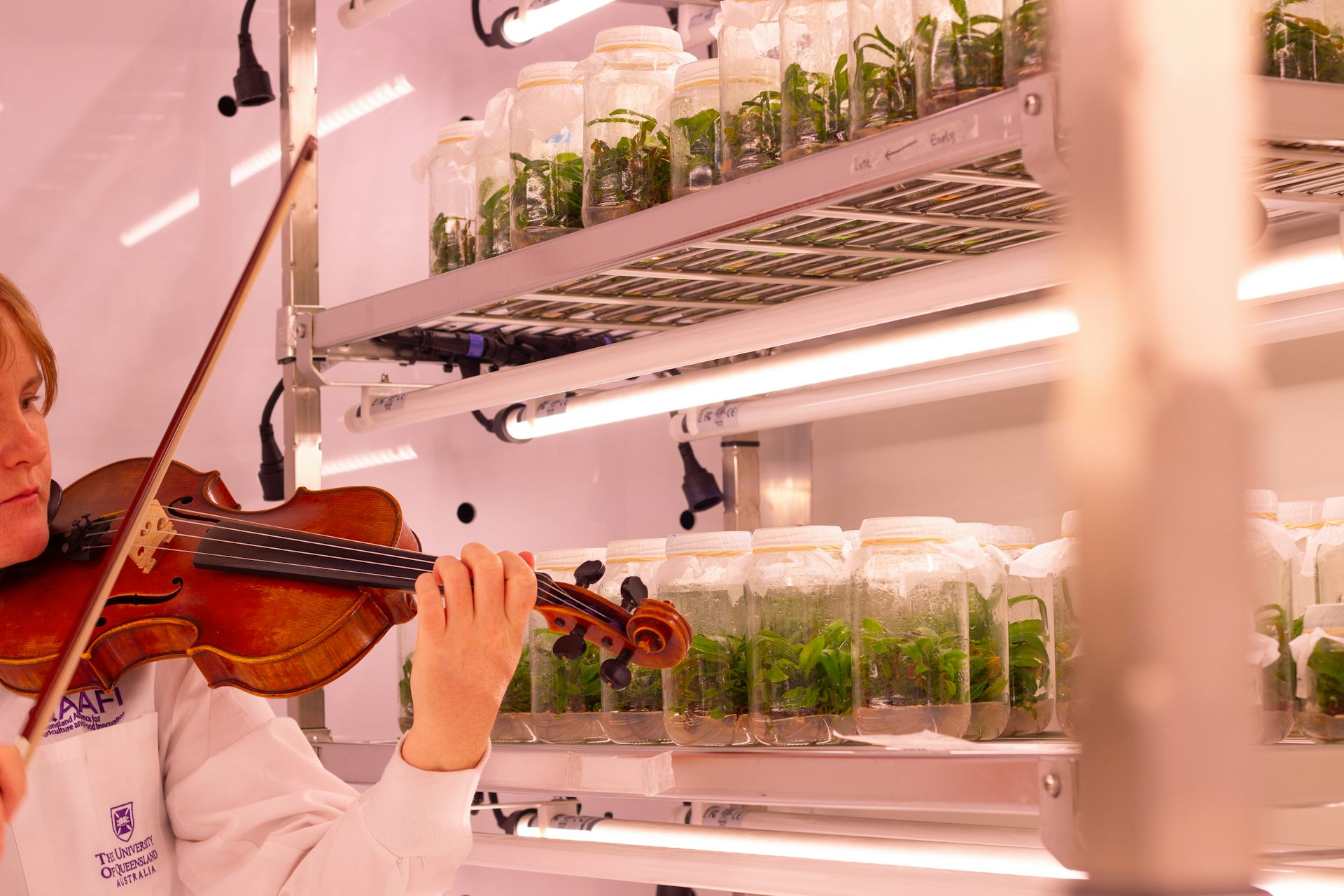 Curious Kids: does music affect how plants grow?