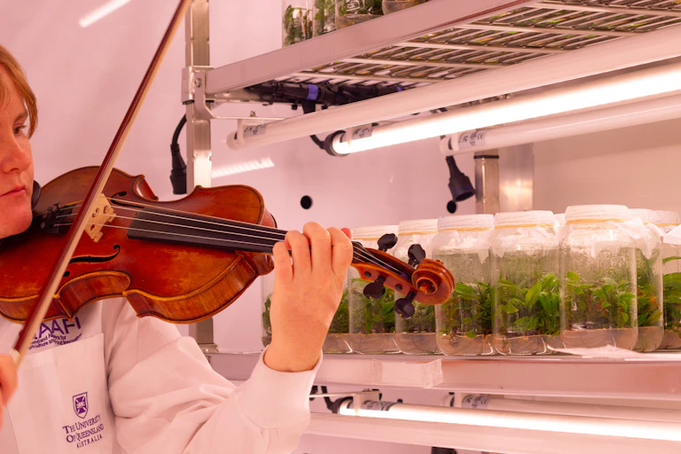 A person playing violin to plants in a lab.