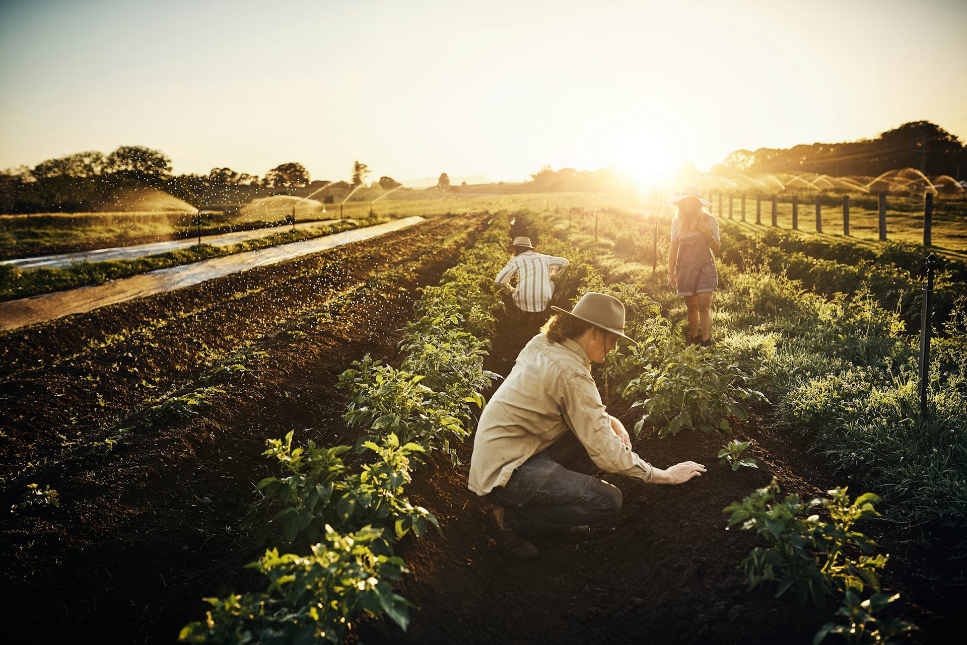 ‘I want a visa, so I have to do farm work’: how new visa rules will hit regional Australia