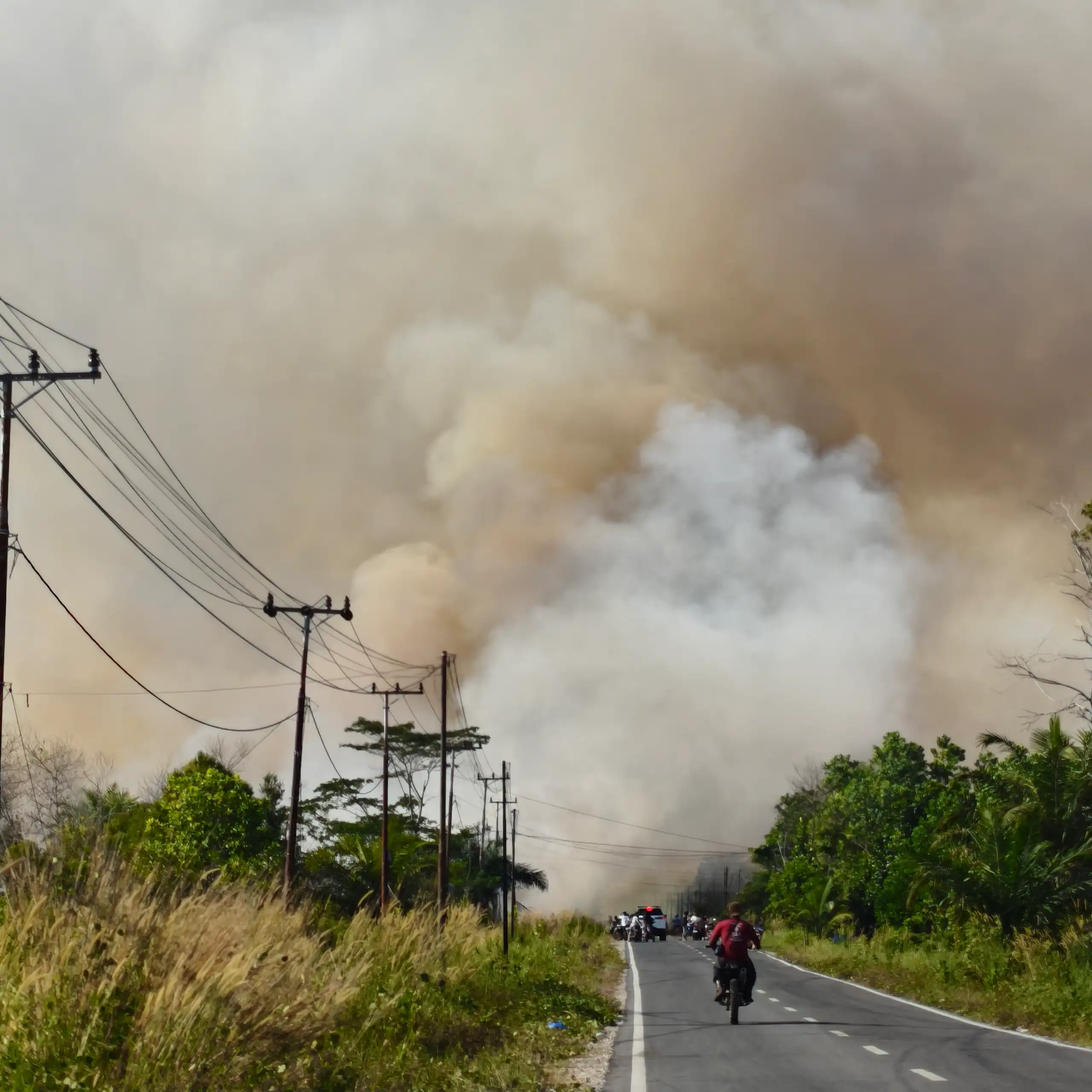 dampak karhutla bagi masyarakat palangka raya