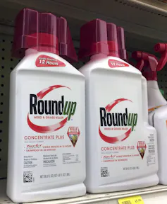 containers of roundup on a store shelf