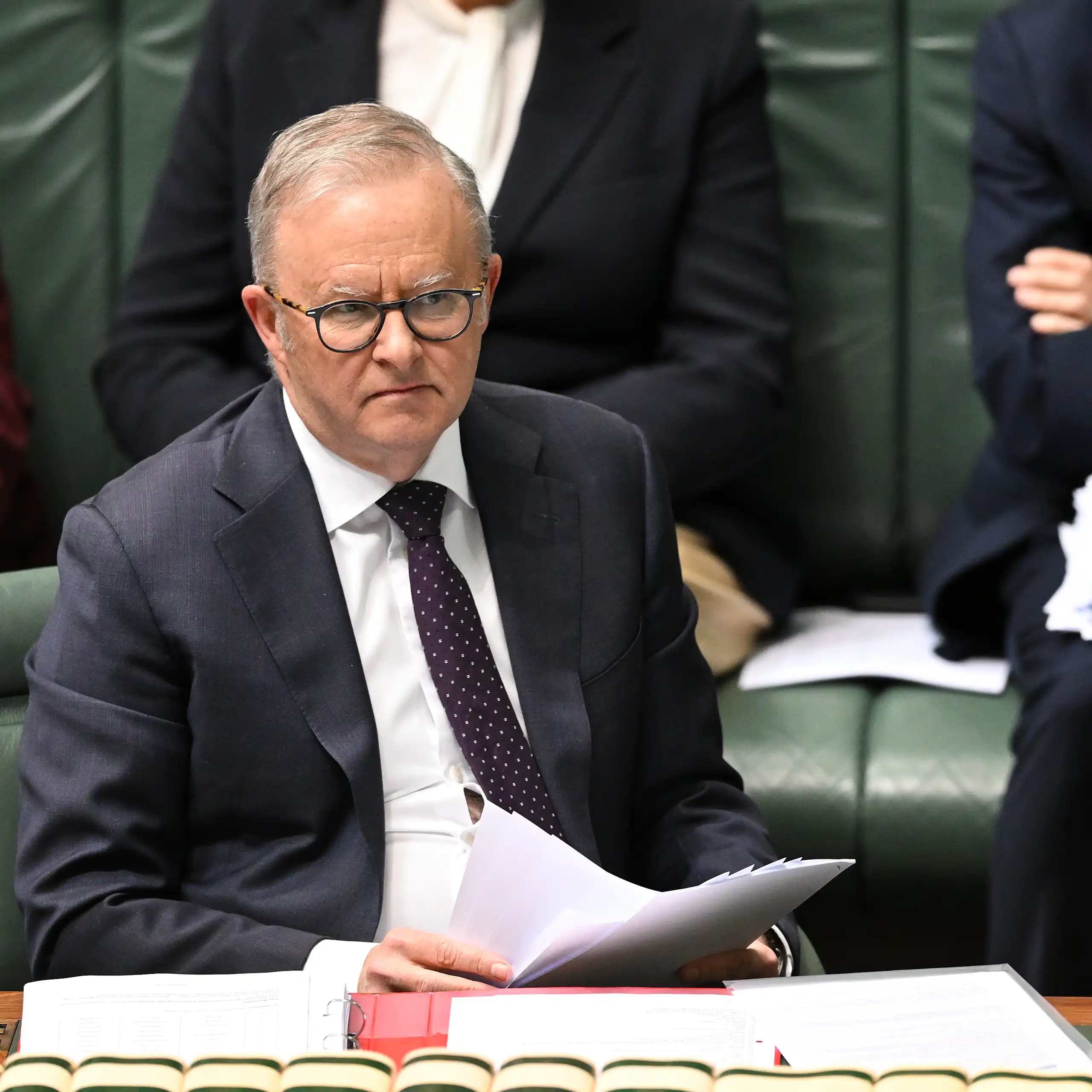 Anthony Albanese sits in the House of Representatives and frowns