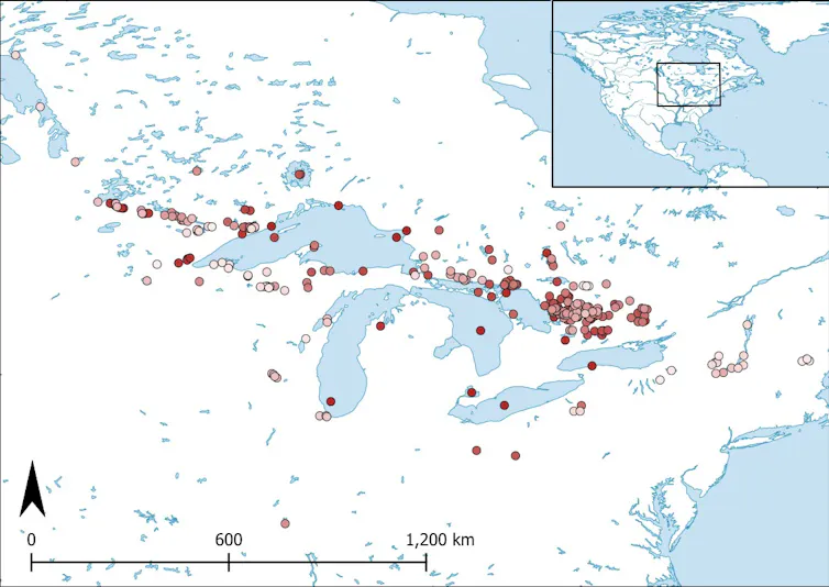 A white and blue map of the Great Lakes with red points marking records of the spiny water flea.