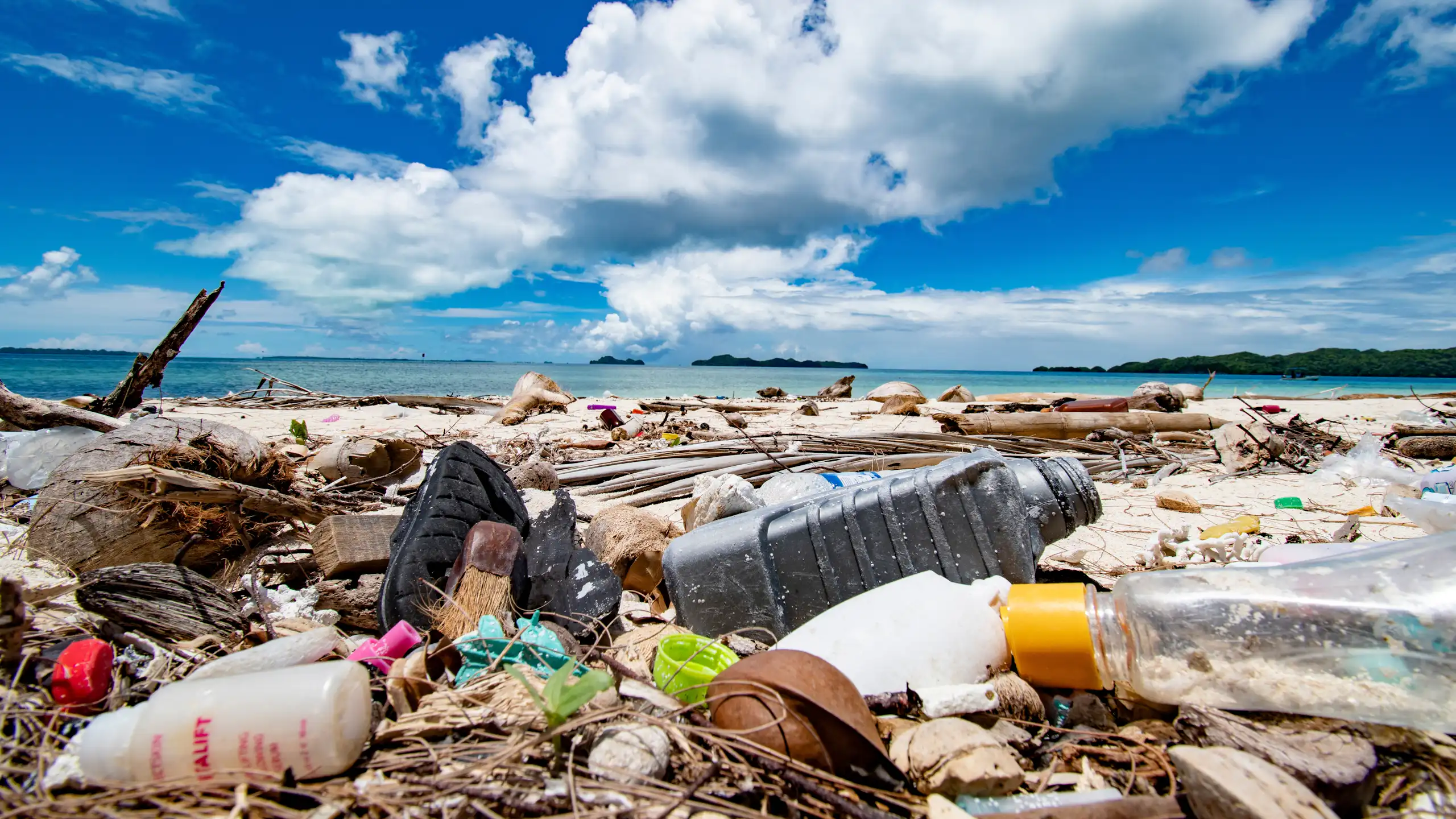 Plastique sur une plage (illustration).