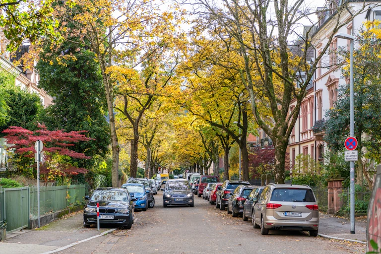 trees lining residential street in Freiberg Germany