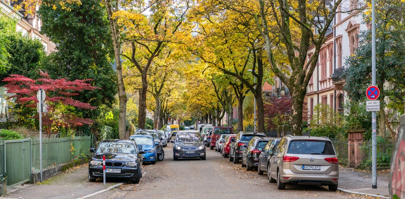 ‘Small, flowering islands’: German city reveals how nature thrives when neighbours care for street tree beds ‘Small, flowering islands’: German city reveals how nature thrives when neighbours care for street tree beds