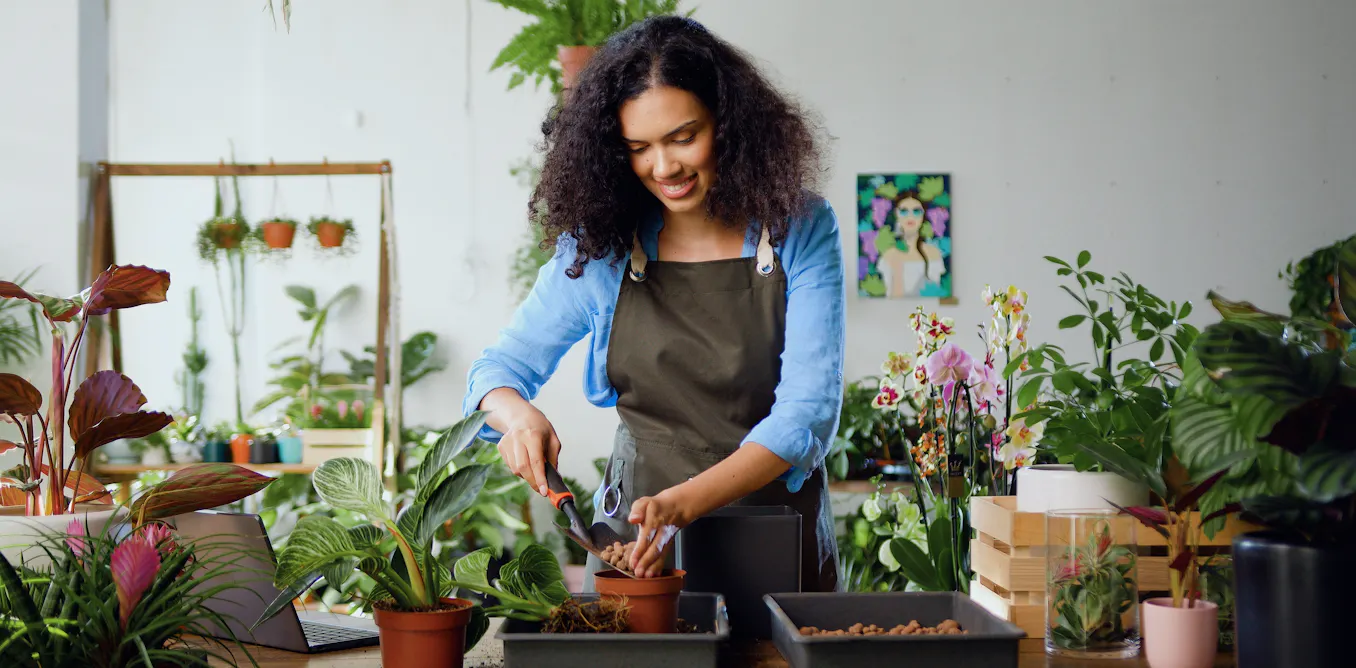 Five intimidating houseplants that are surprisingly easy to care for Five intimidating houseplants that are surprisingly easy to care for