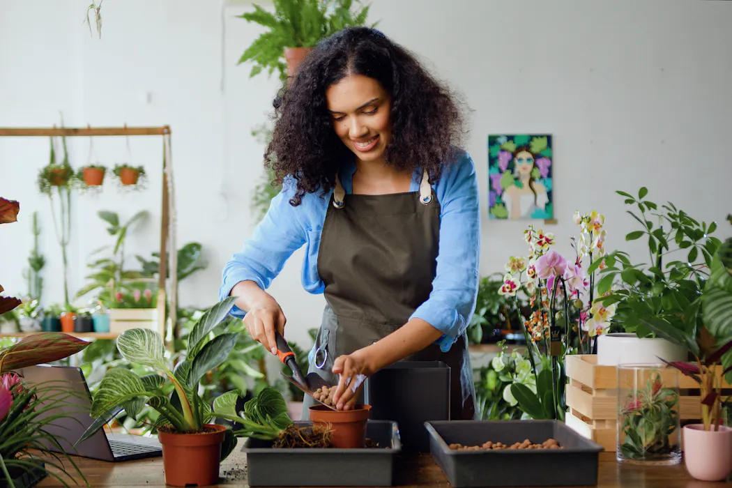 Five intimidating houseplants that are surprisingly easy to care for