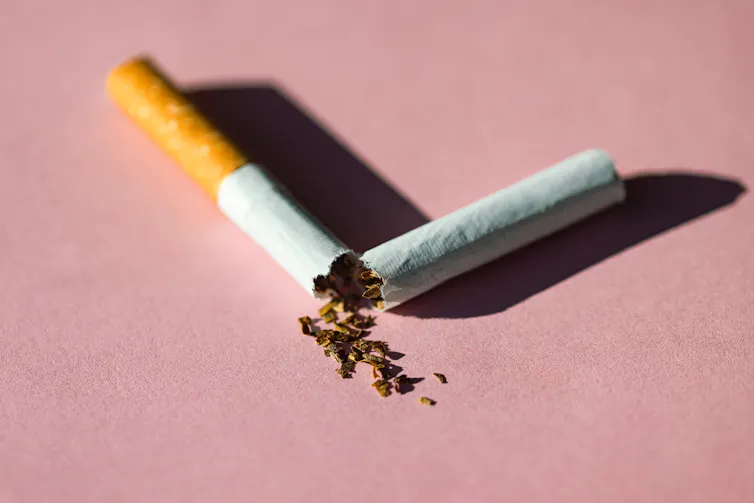 A crushed cigarette on a pink background.
