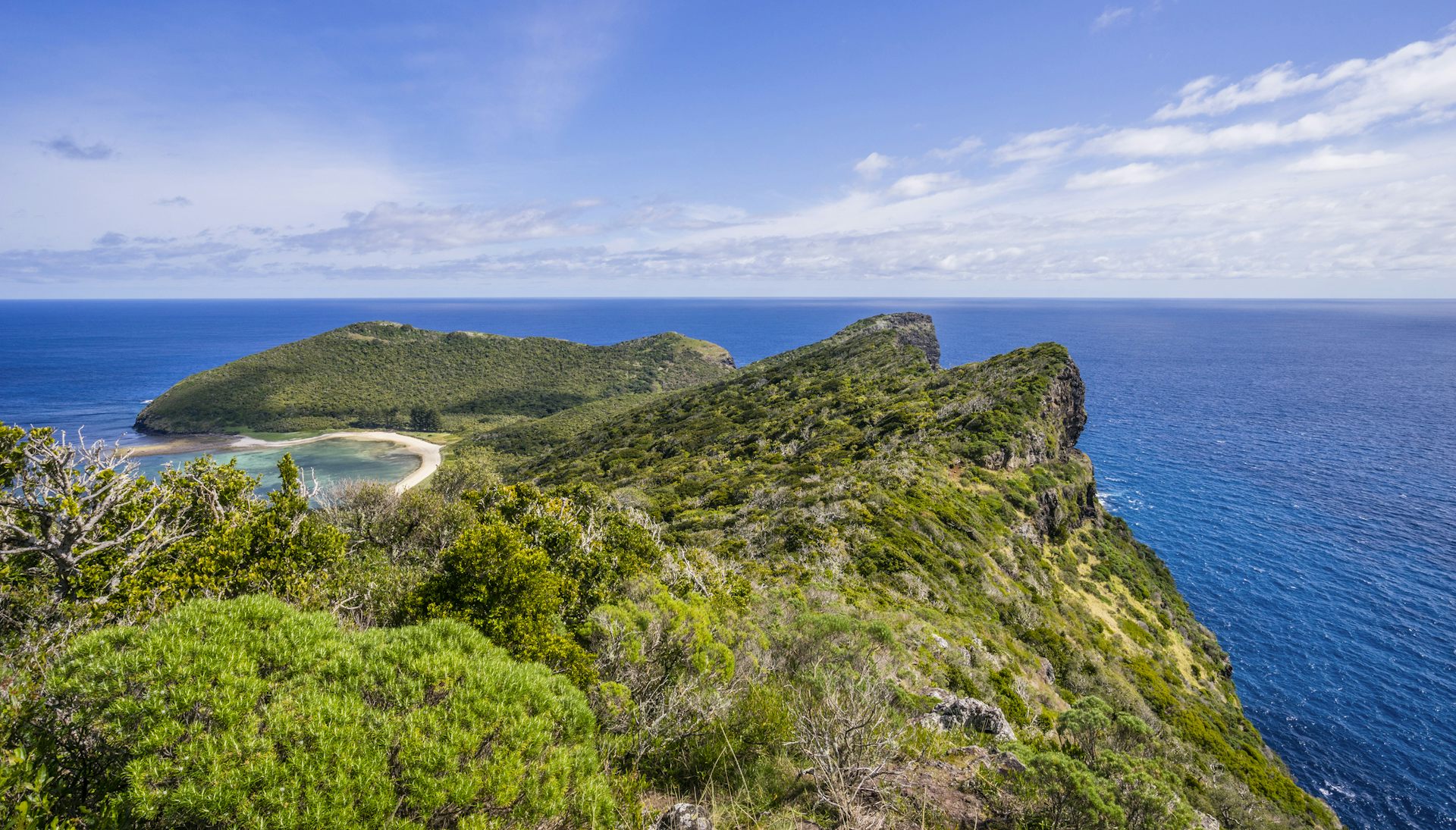 A scenic view of Lord Howe Island, with lush green vegetation surrounded by deep blue ocean.
