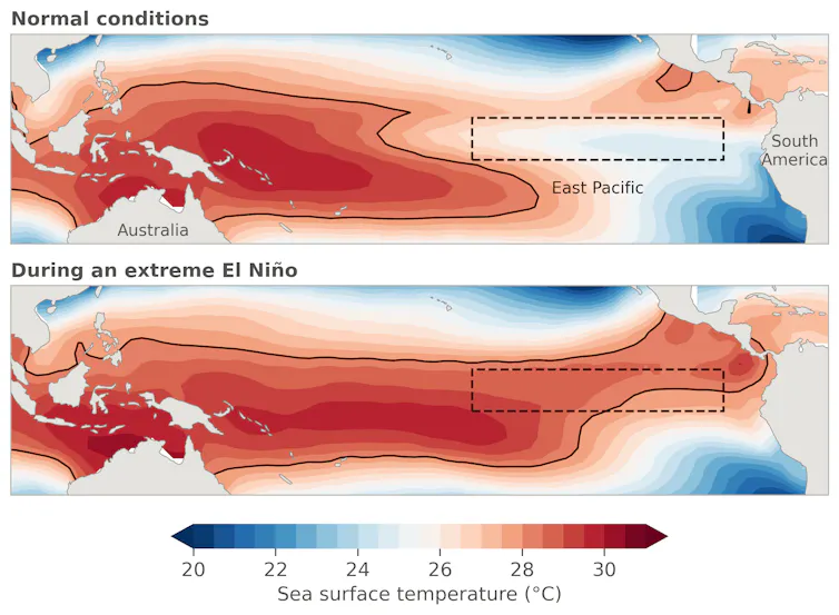 Sea surface temperatures in the tropical Pacific during normal conditions and during an extreme El Niño.