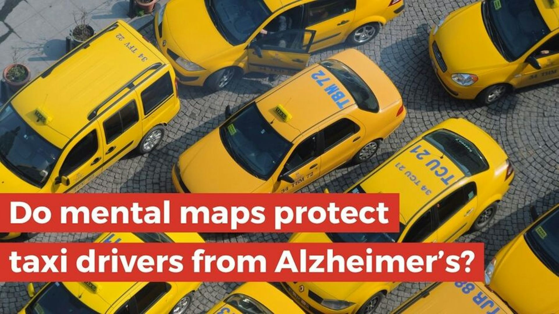 Bright yellow taxis packed closely together, appearing to be stuck in traffic.