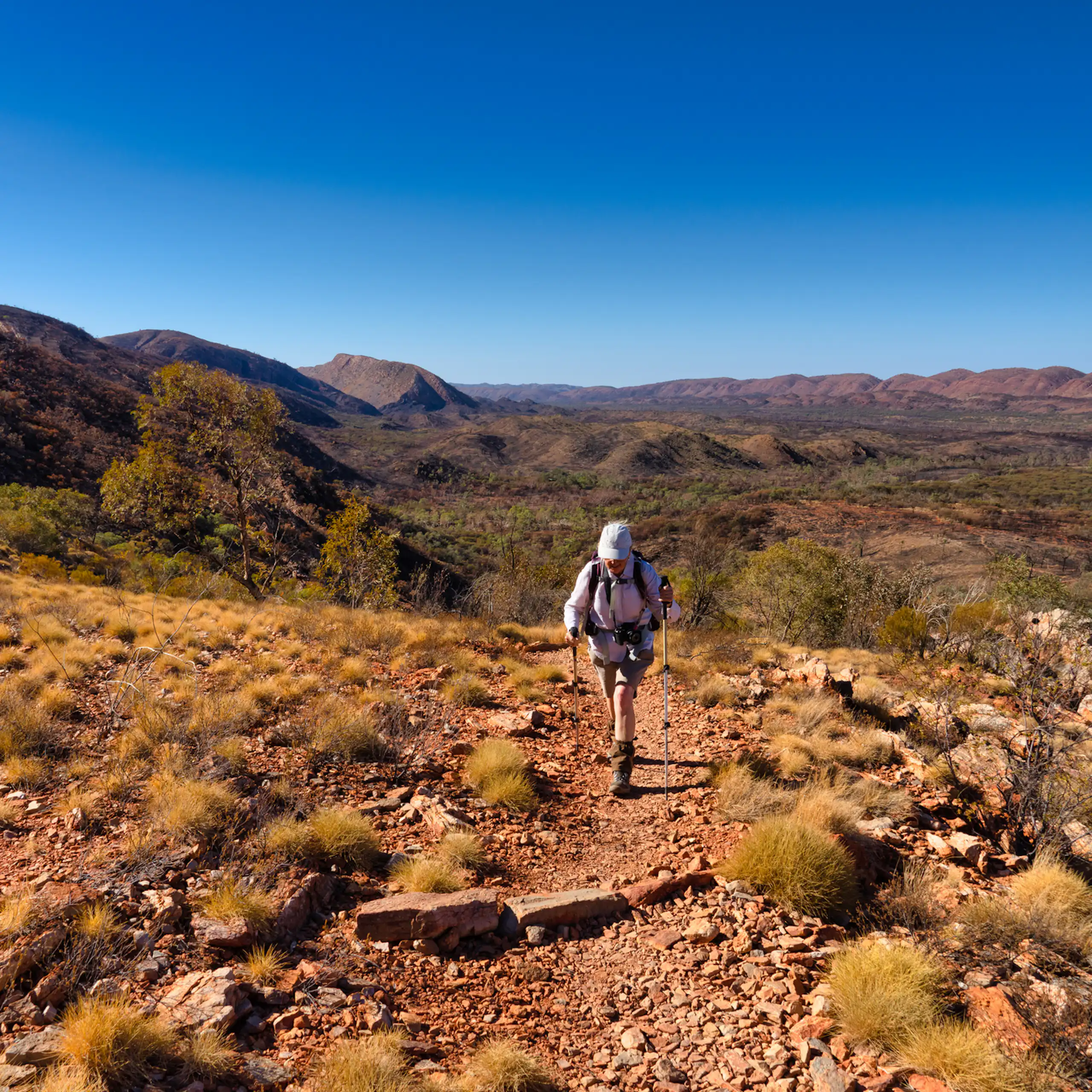 woman hiking on larapinta trail, rocky and arid with mountains behind.