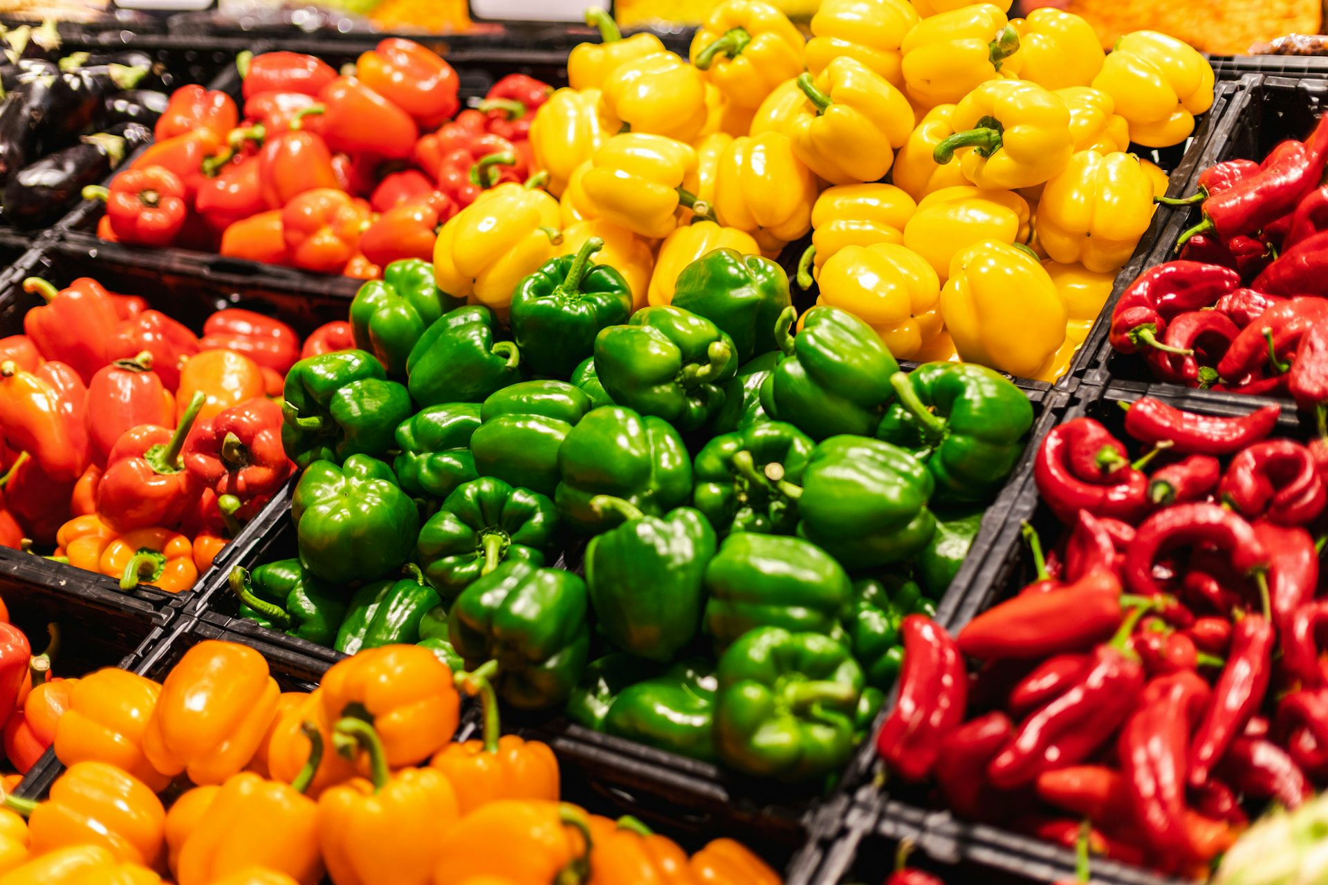 What’s the difference between green, yellow and red capsicums? It’s more than what you see