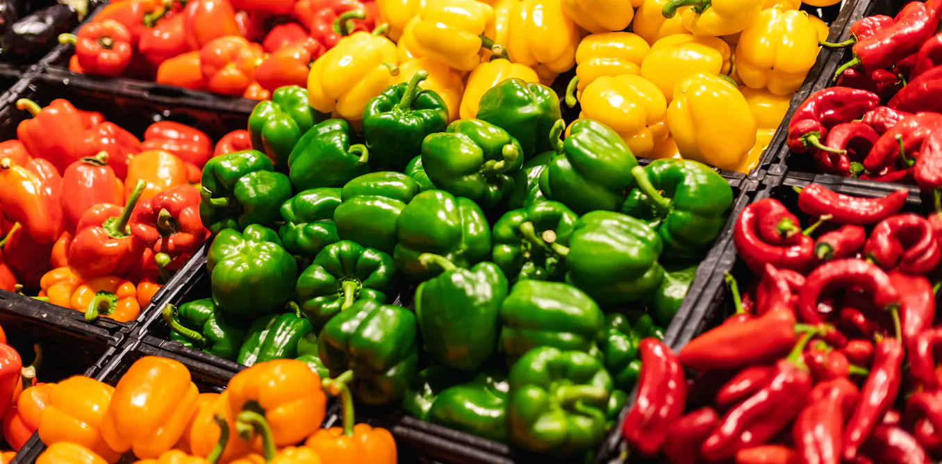 What’s the difference between green, yellow and red capsicums? It’s more than what you see What’s the difference between green, yellow and red capsicums? It’s more than what you see