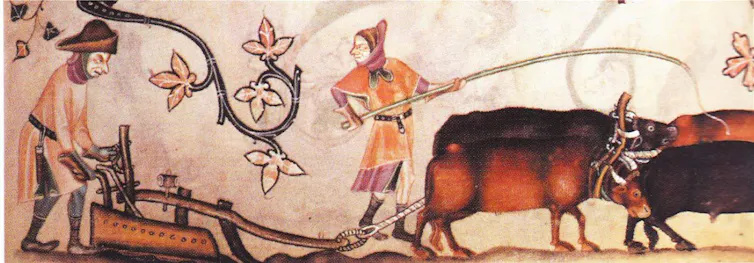 Illustration of a ploughman guiding a plough behind a team of oxen