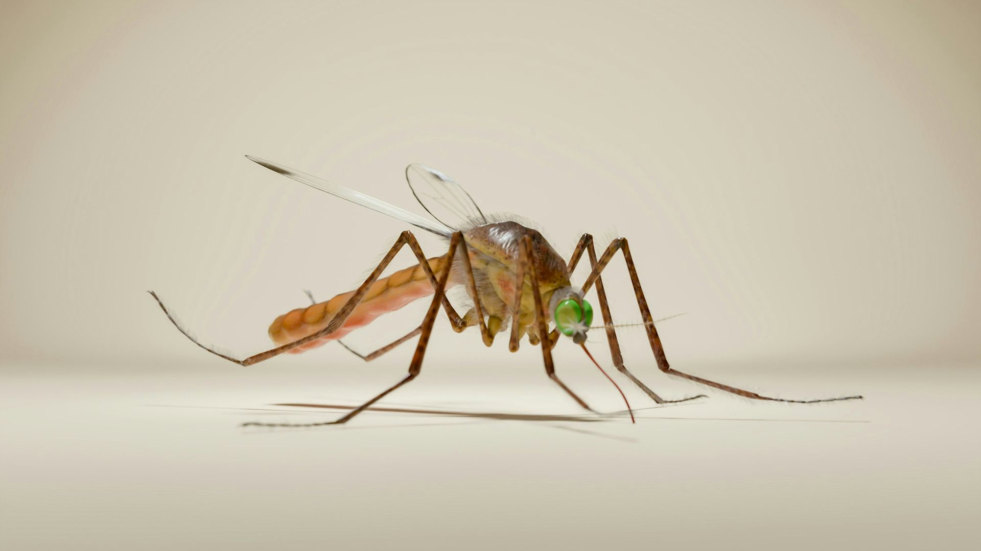 Science that makes you laugh? Canadian engineers win Ig Nobel Technology Prize for 3D ‘necroprinting’ with mosquitoes