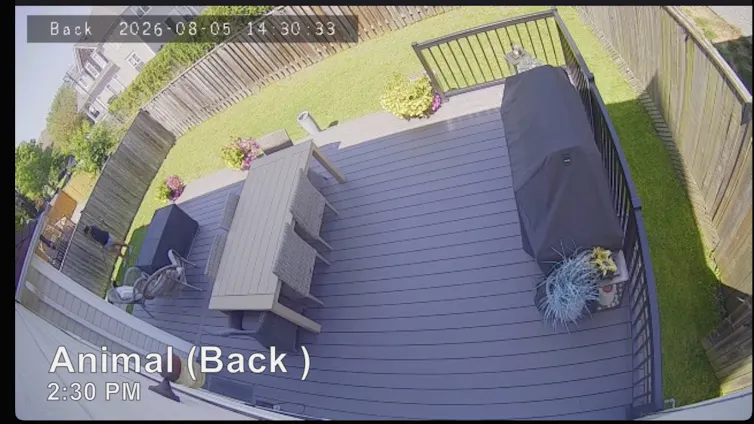A view of a back deck, with lawn behind and a person walking around on the left of the screen.