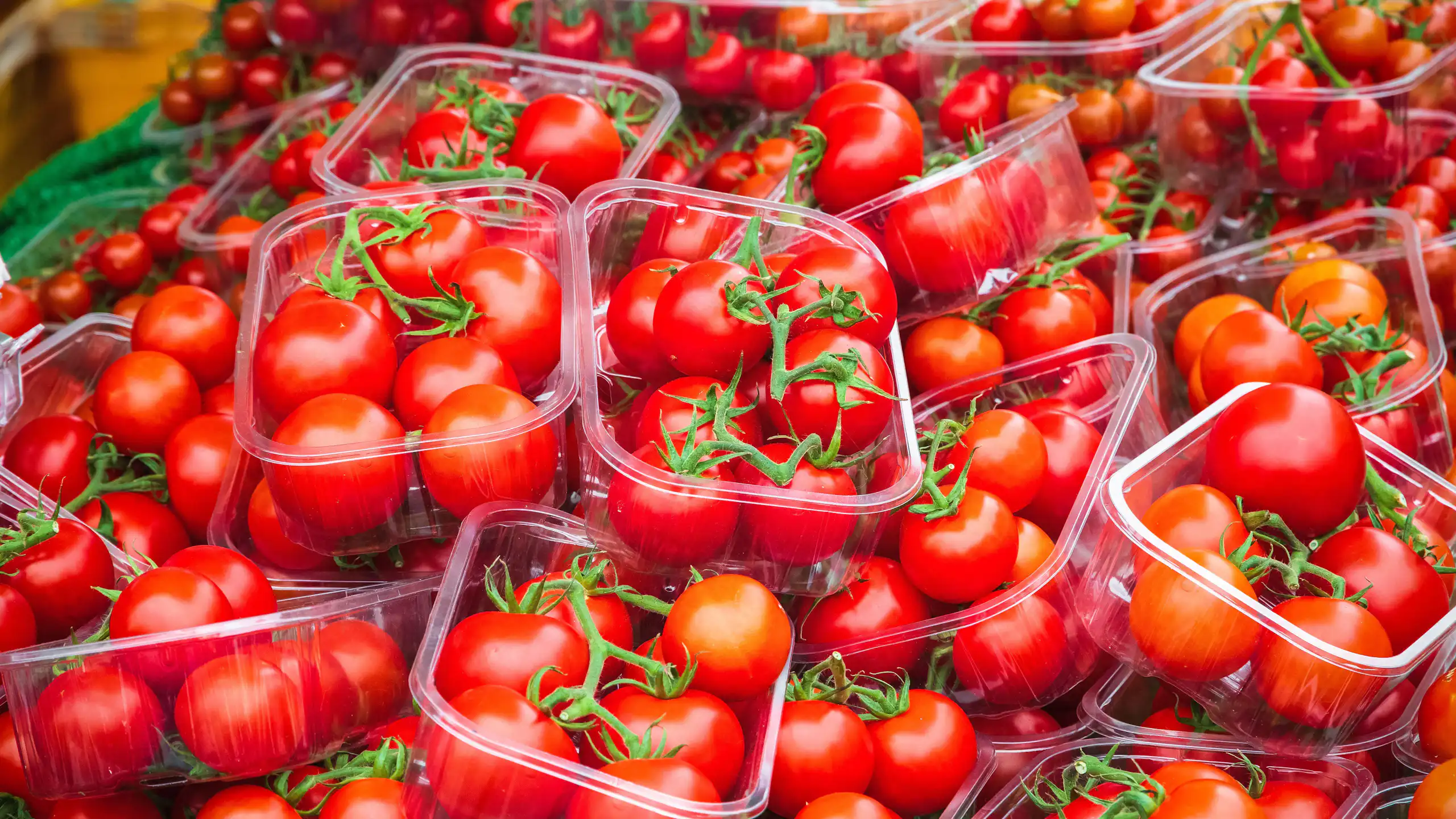 Tomatoes in a market in England
