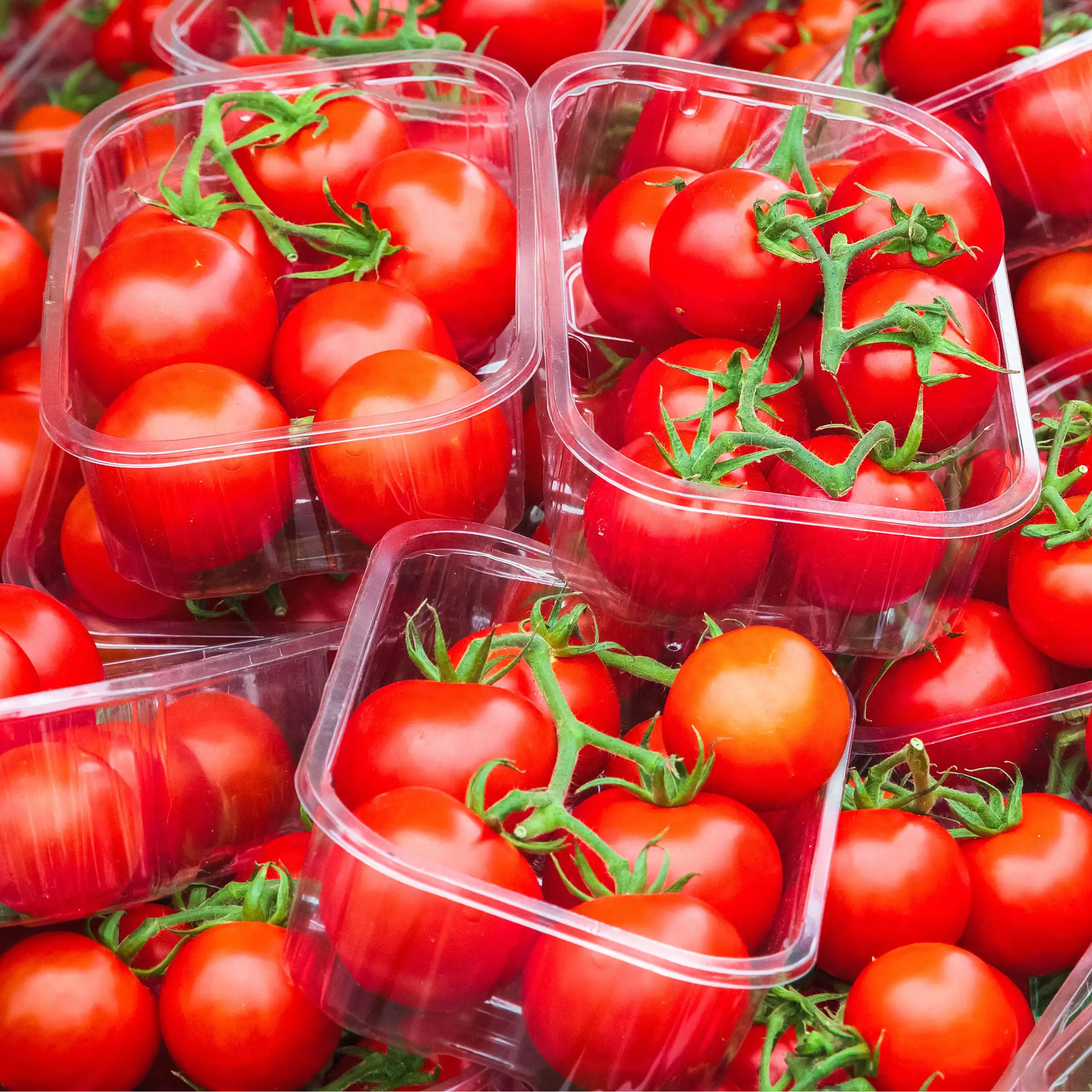 Tomatoes in a market in England