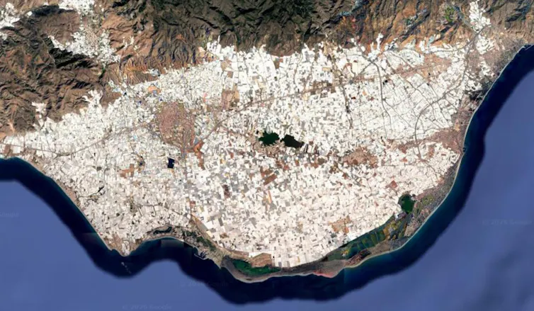 Satellite image of vast areas of greenhouses