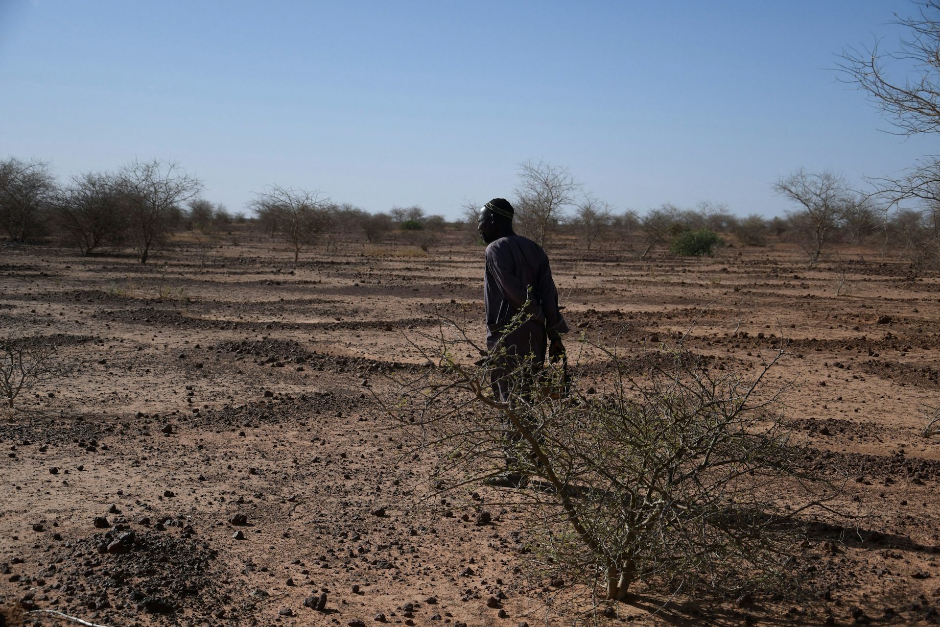 Super El Niño: Africa’s Sahel Region Faces 450,000+ Heat Deaths, Study Warns