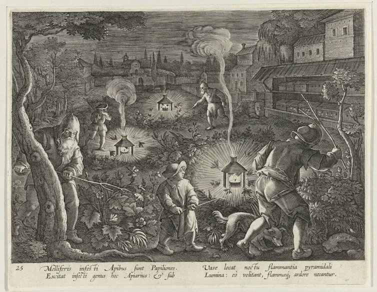 Drawing showing several men beating bushes with branches to flush out moths.