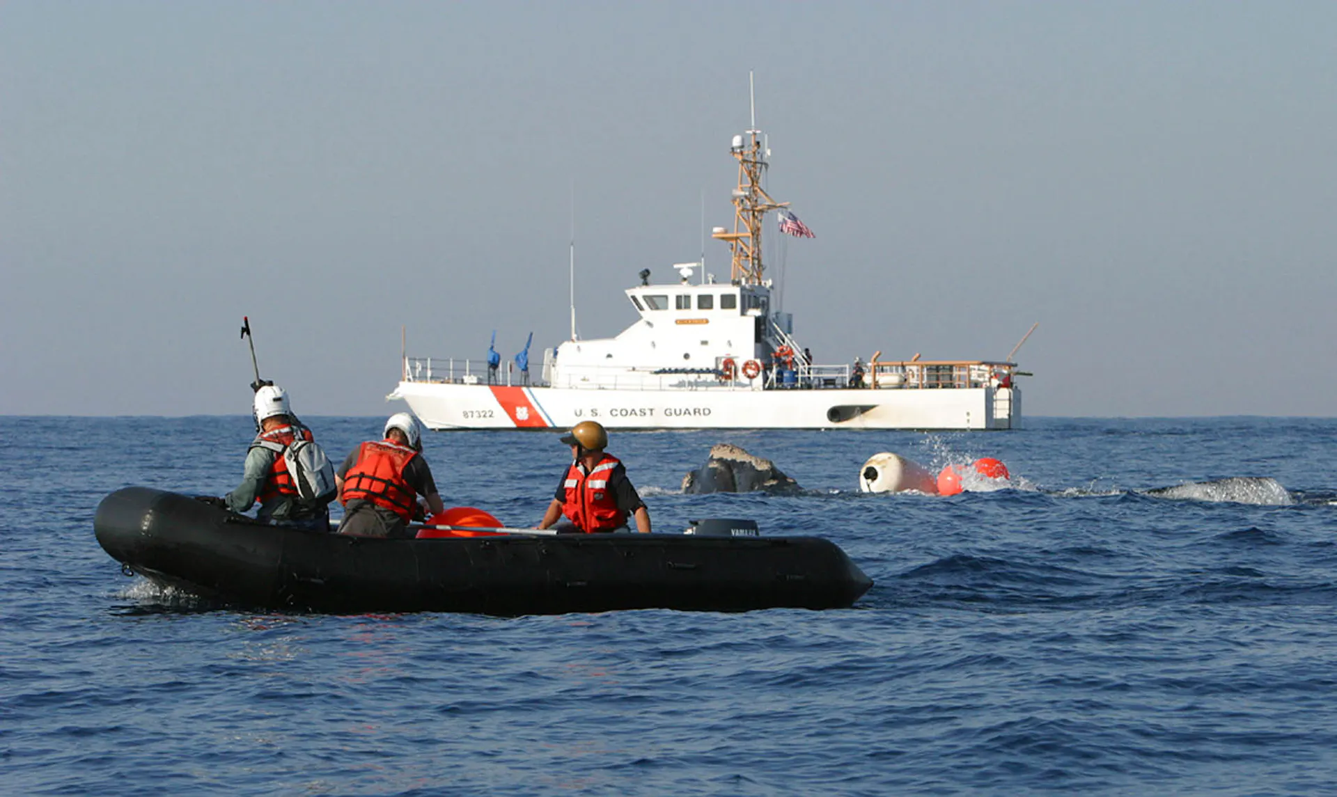 People in a rubber boat near the entangled whale. It's rostrum is visible above water near the equipment its tangled in.