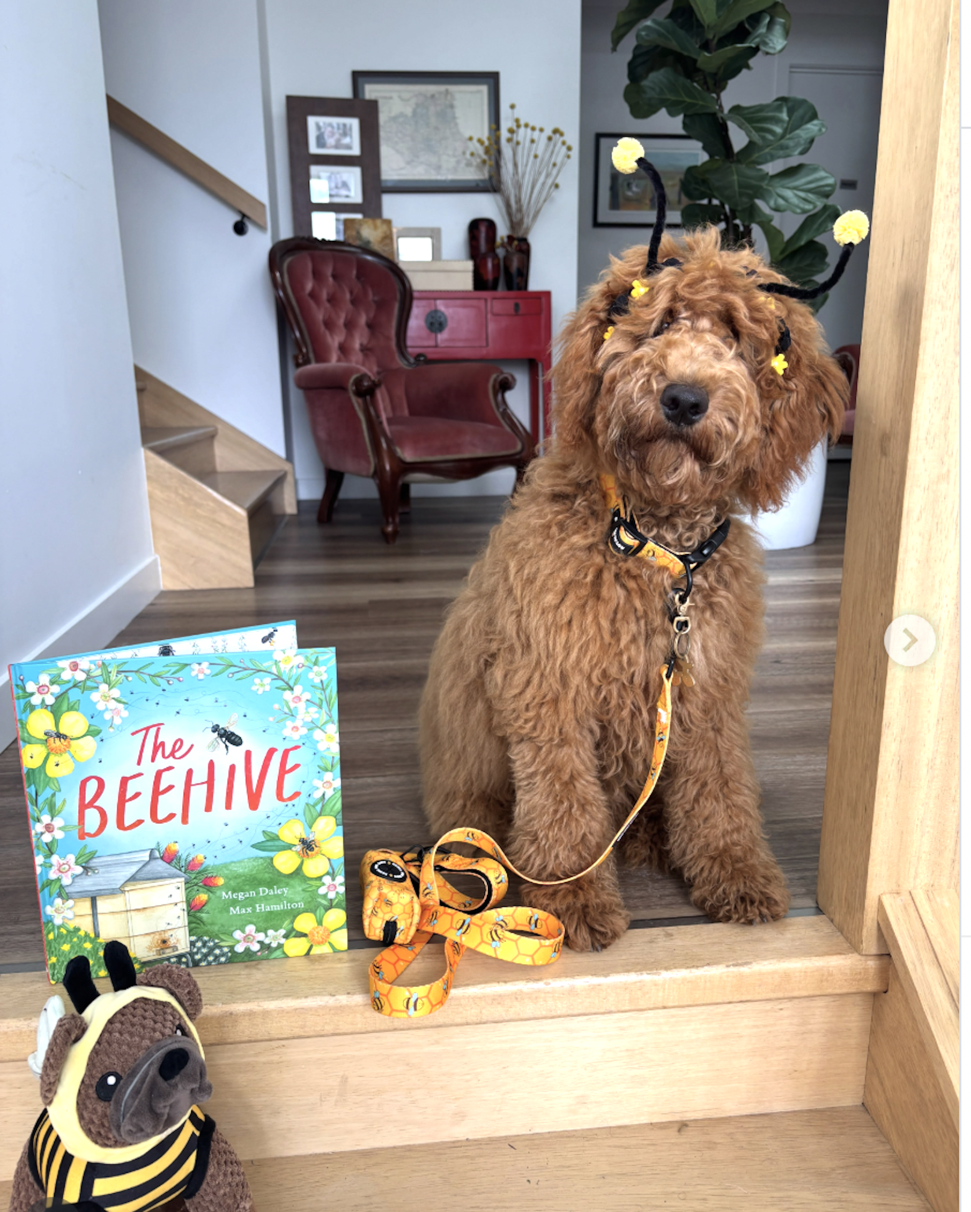 A dog dressed as a bee next to a book called The Beehive.