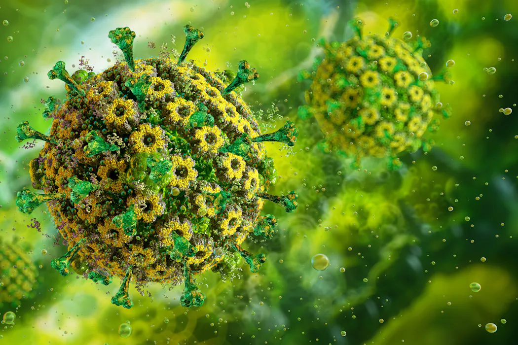 Por qué convivir con infecciones virales crónicas acelera nuestro reloj biológico