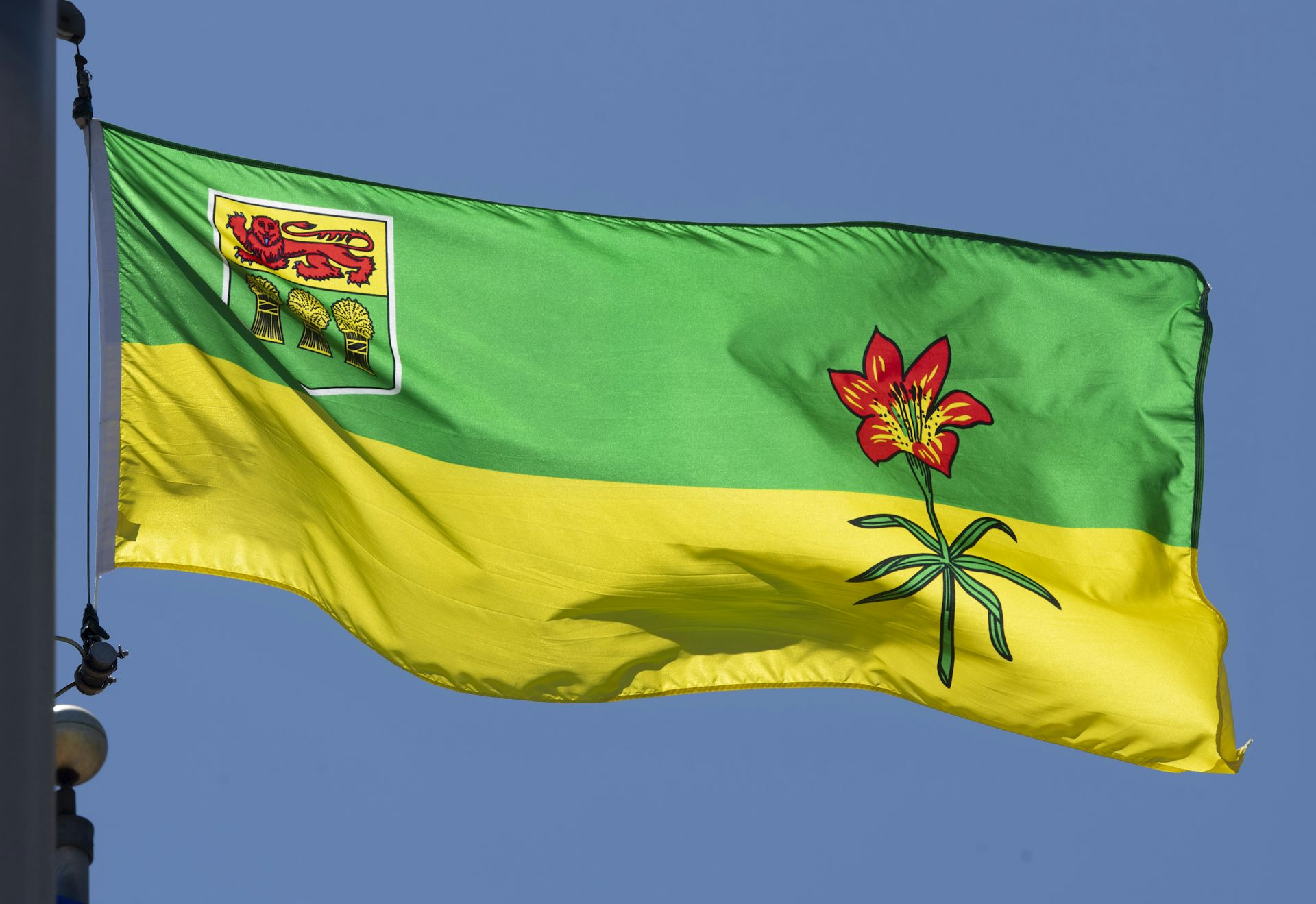 A yellow and green flag with a lily on it flies against a blue sky.