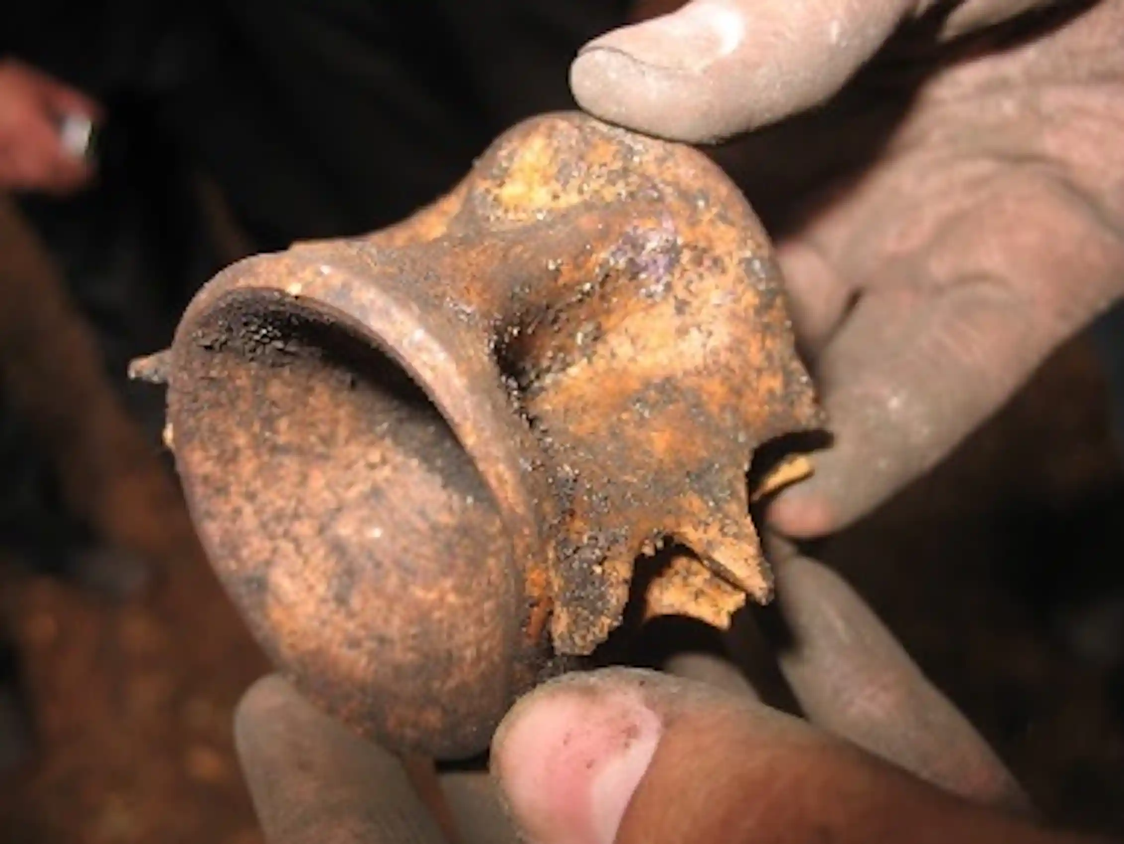 Dirty bone, round on one edge, held by hands