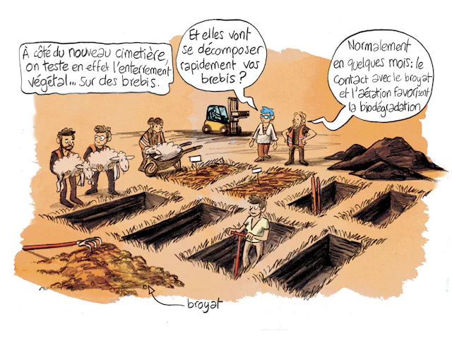 Planche 41 : à décrire
