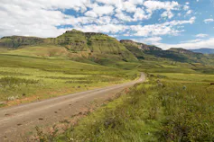 Road with patches of bramble in hilly landscape