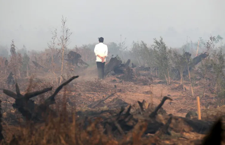 Man stood in burnt out remnants of wildfire