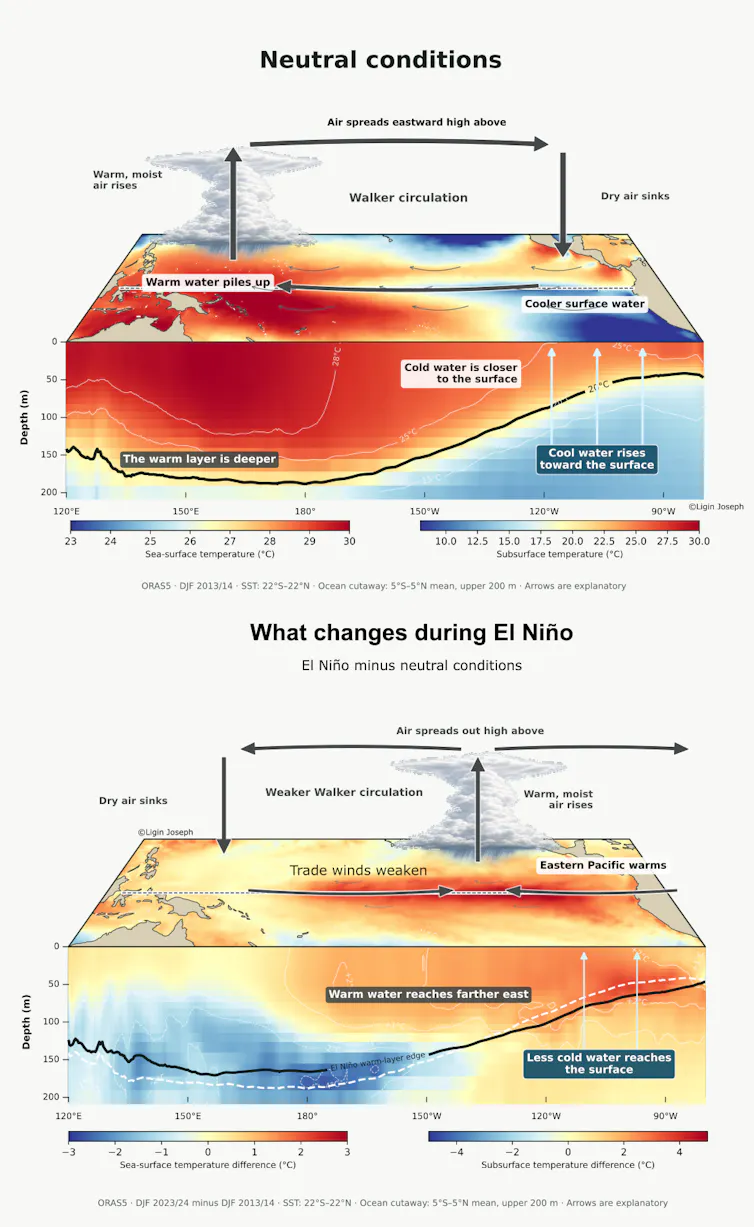 Diagram of Pacific normally and in El Niño