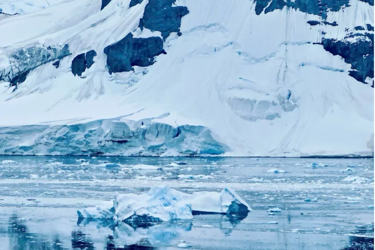 A glacier front meets the water.