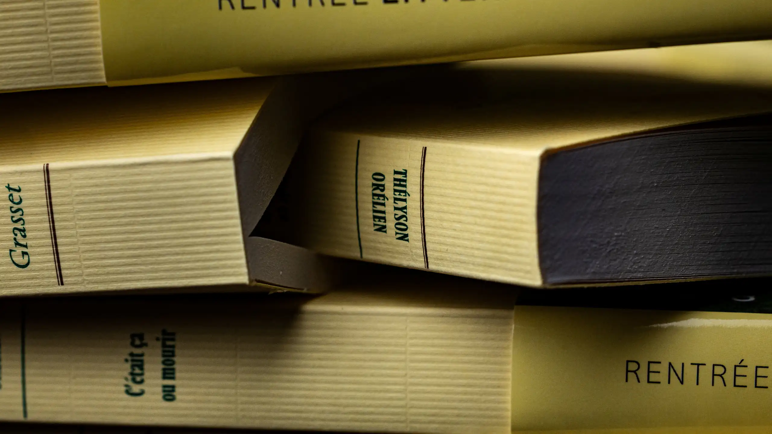 Plusieurs exemplaires du livre les uns sur les autres.